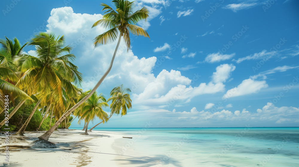 A beautiful beach with palm trees and a blue sky A beautiful beach with palm trees and a blue sky