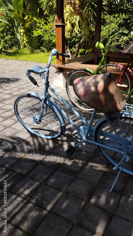 Fototapeta premium Bali Island : bicycle in the garden