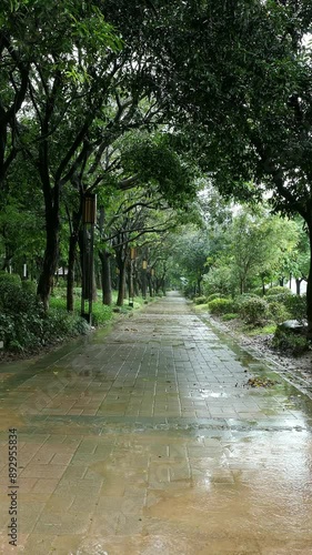 public park on a rainy day at vertical composition video with sound
