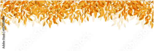 紅葉　葉　秋　背景	