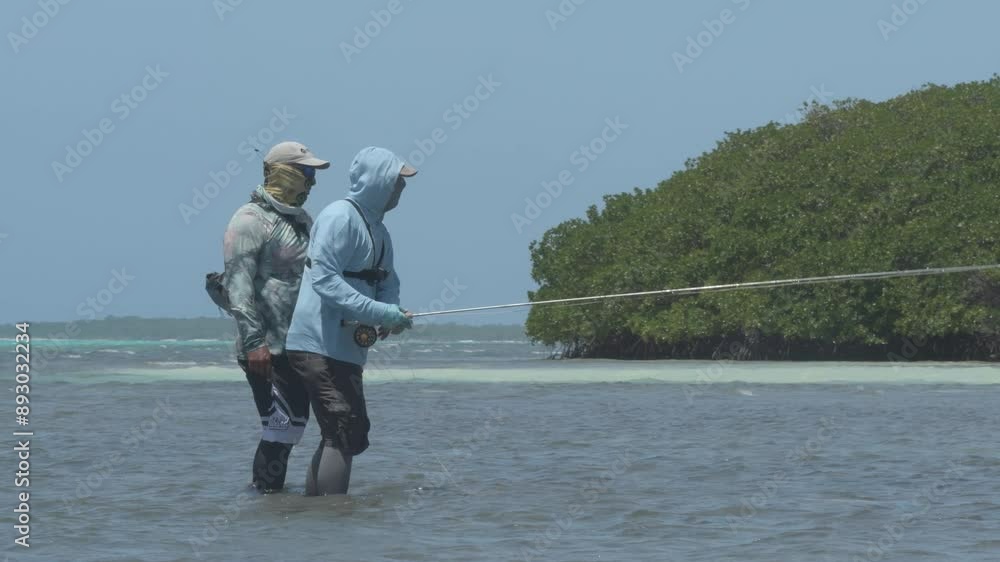 Two anglers fly fishing in shallow tropical waters near lush mangroves on a sunny day Two anglers fly fishing in shallow tropical waters near lush mangroves on a sunny day