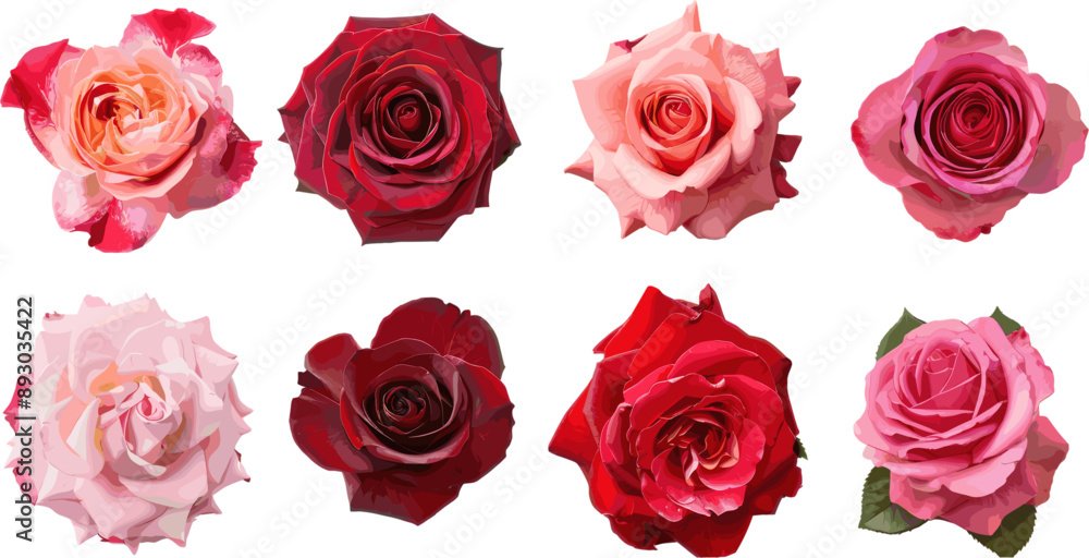 set of rose petals in color style set of rose petals in color style