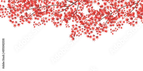 紅葉　もみじ　秋　背景