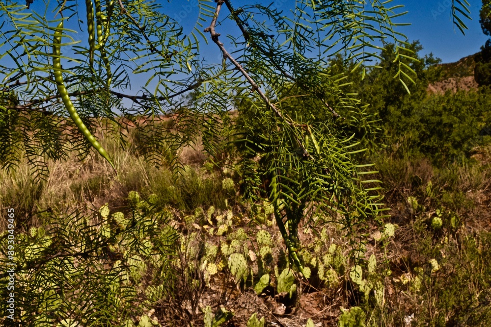 palo duro canyon state park in the Texas panhandle near Canyon! palo duro canyon state park in the Texas panhandle near Canyon!