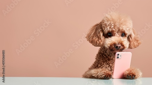 Poodle using a smartphone, stylish dog with tech, amusing pet