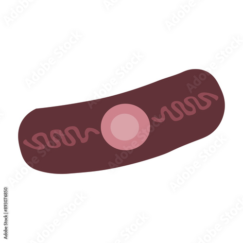 bacillus anthracis