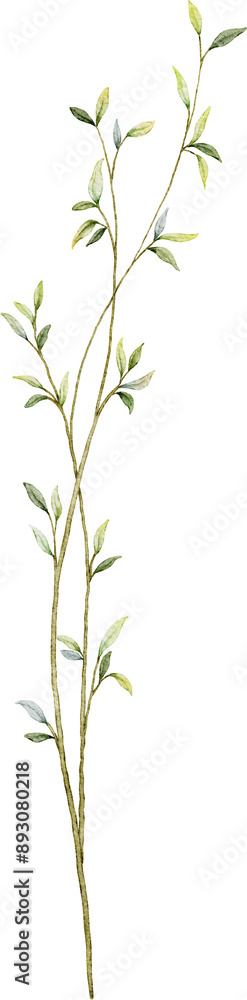 Fototapeta premium Watercolor botanical leaves branch
