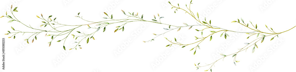 Watercolor botanical long branches and leaves Watercolor botanical long branches and leaves