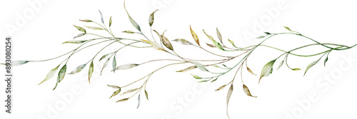 Watercolor botanical long branches and leaves