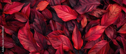 Vibrant Red Autumn Leaves Background