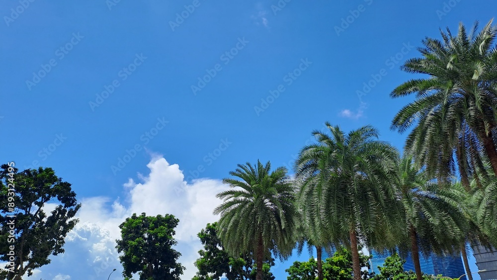 Blue Sky with Pretty Cloud In Singapore Blue Sky with Pretty Cloud In Singapore