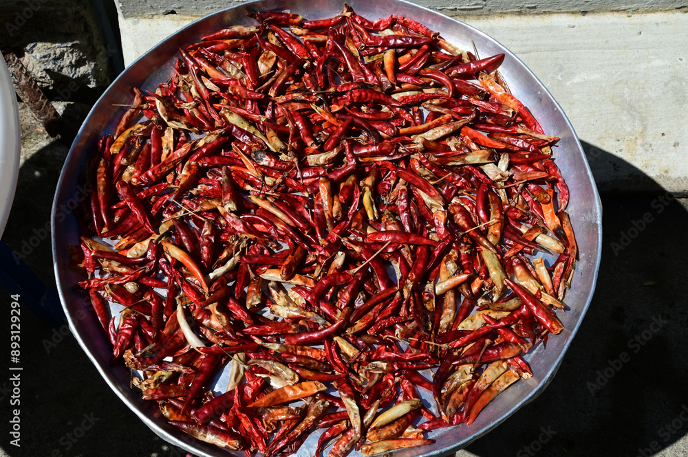 Fototapeta premium Closeup of Many of Fresh Red chilies peppers on a silver tray placed outside the building in the sun to dry. For use in cooking at Thailand.