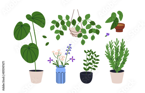Houseplants set. Indoor plants growing in pots. Green leaf foliage, greenery. Natural home and office decoration in planters, flowerpots. Flat vector illustration isolated on white background
