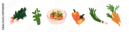 Vegetable set. Radish, greens, bell pepper, tomato, scallion, spring onion and carrot. Fresh healthy food. Natural organic produce for salad. Flat vector illustration isolated on white background