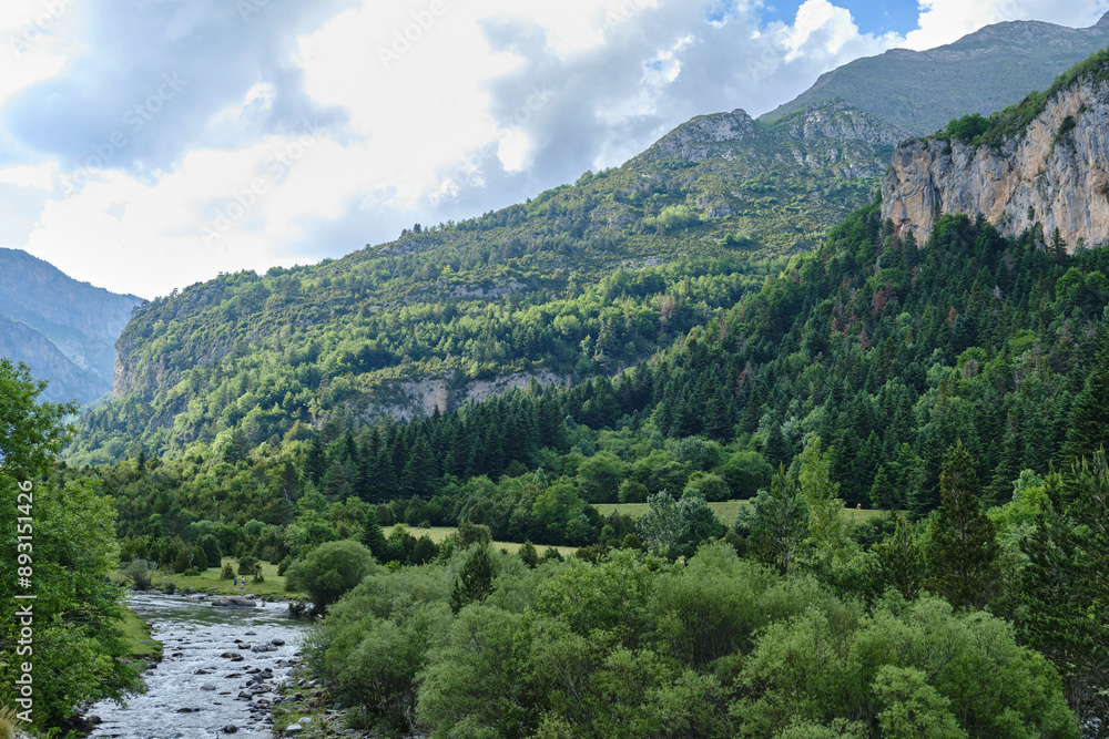 Bujaruelo valley with the Ara river, Ordesa y Monte Perdido National Park, Pyrenees, Huesca, Spain. Bujaruelo valley with the Ara river, Ordesa y Monte Perdido National Park, Pyrenees, Huesca, Spain.