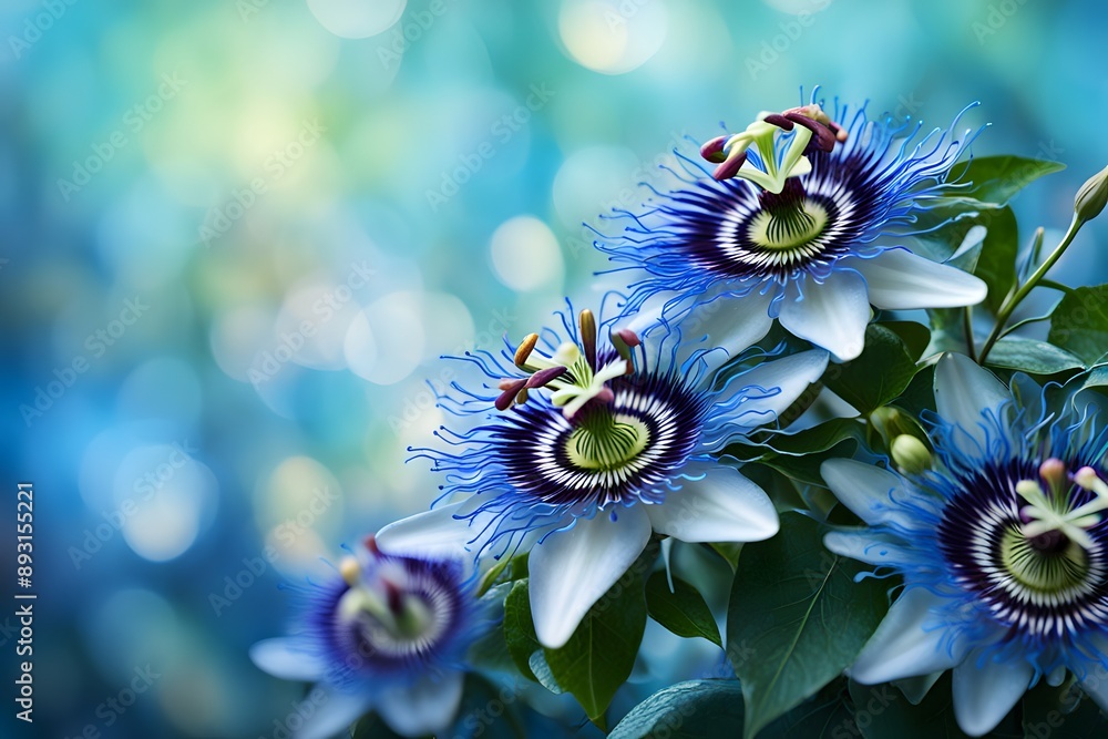 Blue passion flowers bokeh background, AI Generated Blue passion flowers bokeh background, AI Generated