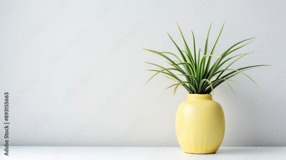Plant in yellow vase on blank background Plant in yellow vase on blank background