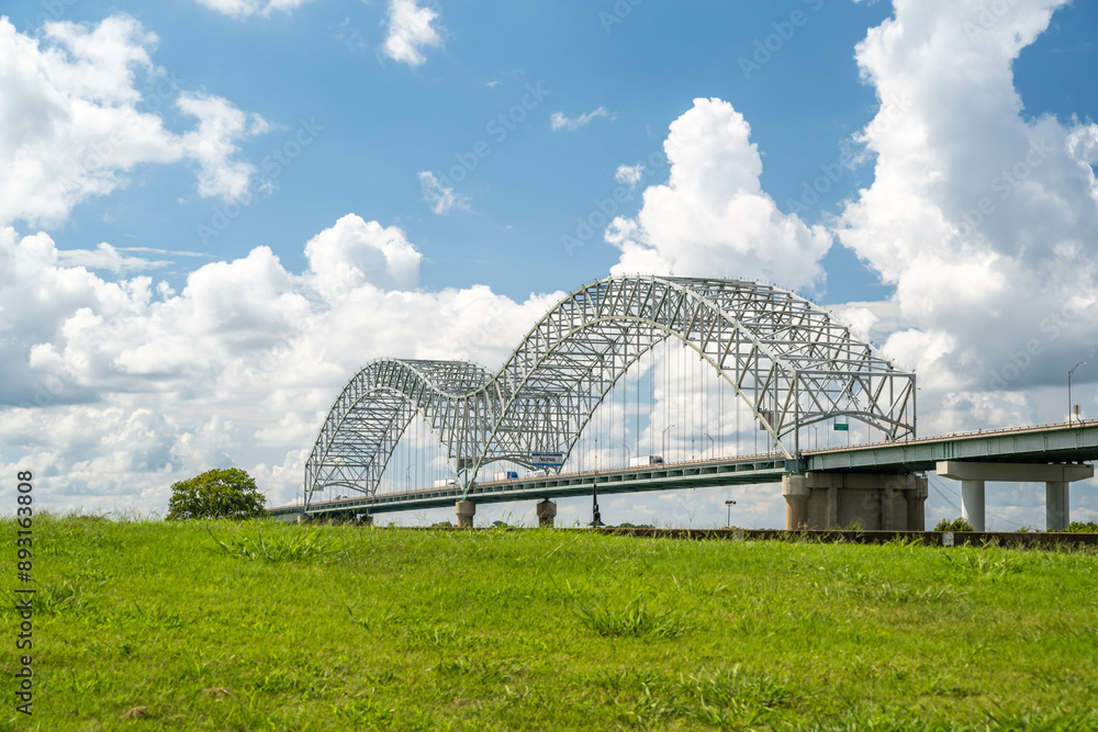 Fototapeta premium An overlooking view of nature in Memphis, Tennessee