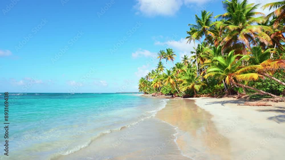 Sea summer beach with bright palm trees on white sand. Calm sea wave of the turquoise ocean on the coast on a sunny day. White clouds in the blue sky. Travel to a tropical paradise. Sea summer beach with bright palm trees on white sand. Calm sea wave of the turquoise ocean on the coast on a sunny day. White clouds in the blue sky. Travel to a tropical paradise.