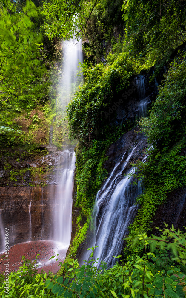 Naklejka premium 巣之浦川大滝_霧島ジオパークの夷守岳からおちる絶景の滝