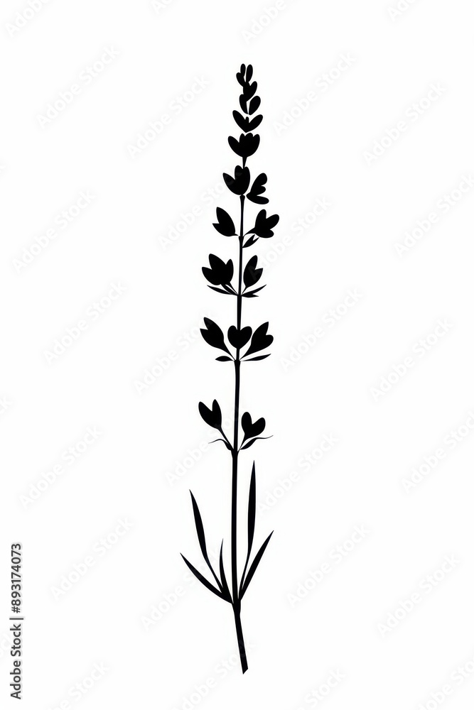 Fototapeta premium Black and white flat vector art of a lavender sprig, svg style, isolated on white background, simple vector art design