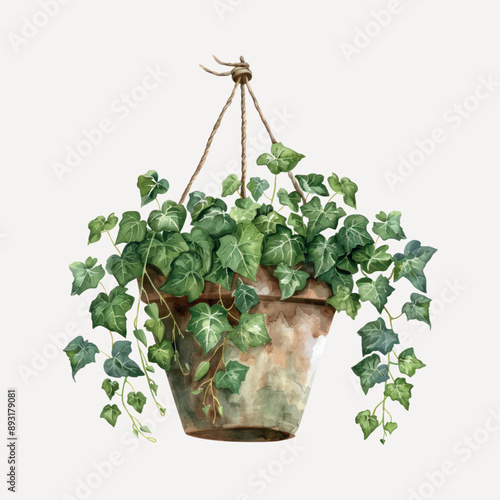 Hanging ivy plant watercolor art