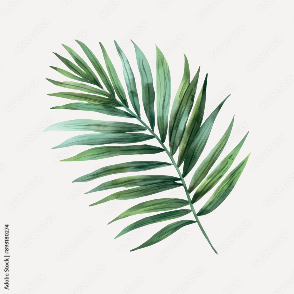 Elegant watercolor tropical palm leaf Elegant watercolor tropical palm leaf