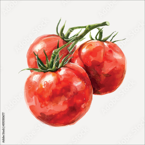 Fresh ripe tomatoes watercolor illustration