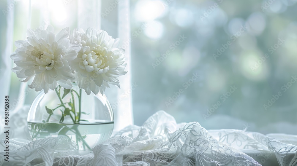 Obraz premium White Chrysanthemum in vase on lace cloth, soft-lit window background, wedding concept with space for text