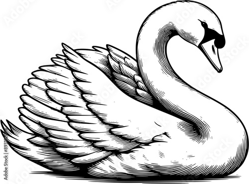 Elegant Swan Line Art, Graceful and stylish swan line art illustration, Ideal for branding, decorative prints, and creative compositions.