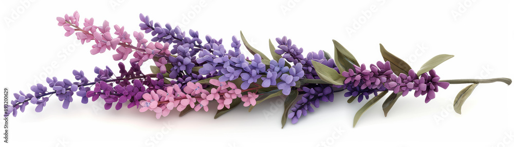 Fototapeta premium Elegant arrangement of purple and pink lavender flowers with green leaves on a white background, showcasing natural beauty and delicate charm.
