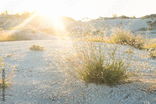 Obraz na plátně drought, rocky desert