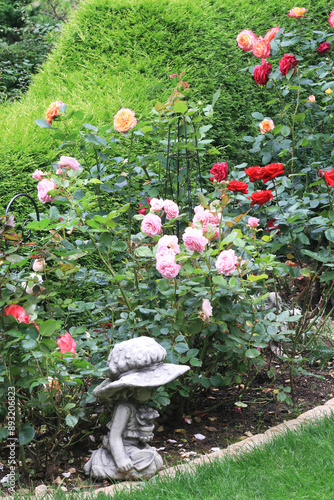 Garden with roses