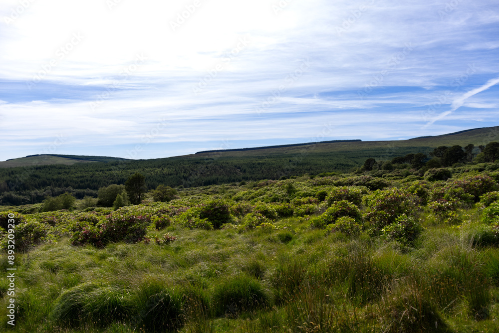 Ireland - R668 to The Vee Pass