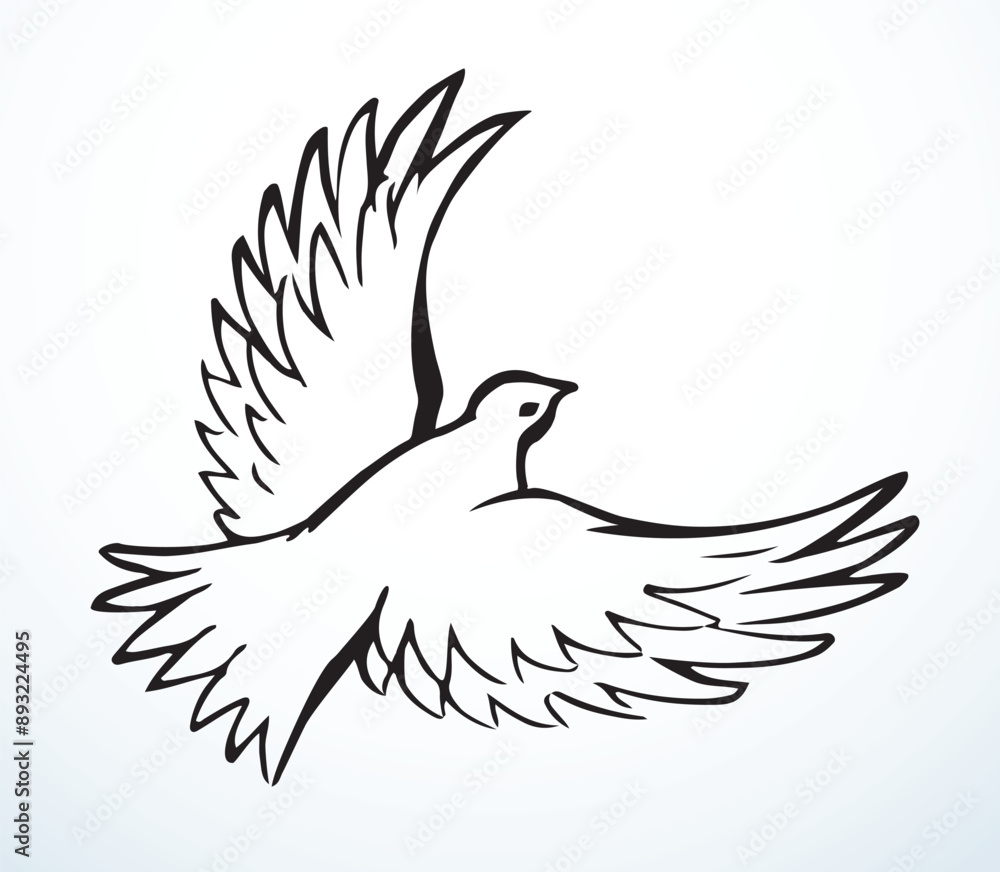 Vector drawing. Cute flying dove Vector drawing. Cute flying dove