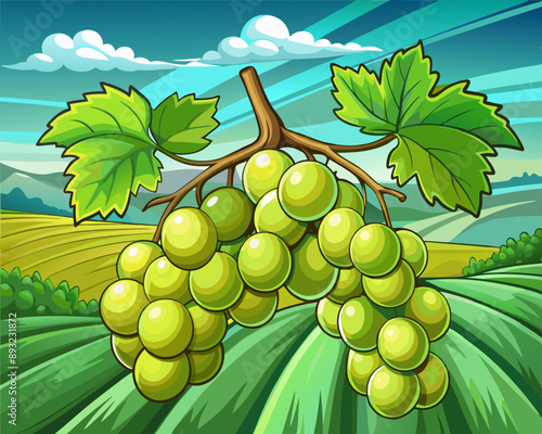 illustration Vector of green grapes on a branch with leaves, green farm field background, hand drawn vegetabes and fruit cartoon photo