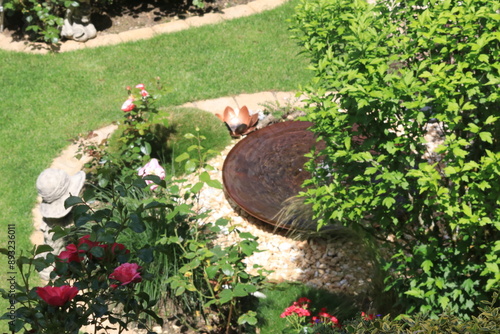 Hibiscus Baum an der Wasserschale
