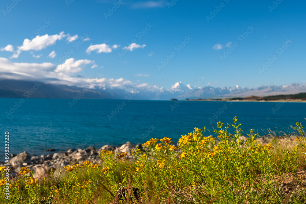 A vibrant field of wildflowers with a rustic cabin and a backdrop of distant mountains under a bright blue sky. The picturesque scene captures the tranquil beauty of rural life and the serenity of na A vibrant field of wildflowers with a rustic cabin and a backdrop of distant mountains under a bright blue sky. The picturesque scene captures the tranquil beauty of rural life and the serenity of na
