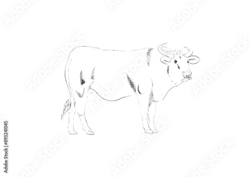 animal, mammal, silhouette, vector, wild, illustration, dog, wildlife, animals, farm, nature, black, bull, outline, rhinoceros, icon, rhino, bear, sheep, cow, logo, drawing, wolf. milk