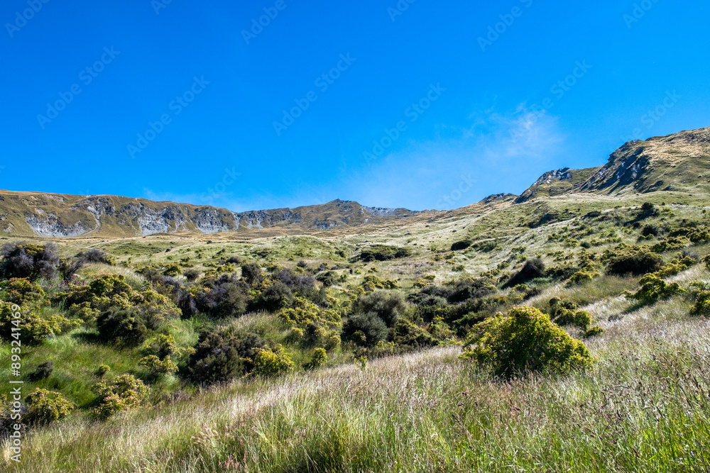 A view of grassy hills stretching towards distant mountains under a clear blue sky. The lush grass and rugged mountain backdrop create a natural and serene landscape. A view of grassy hills stretching towards distant mountains under a clear blue sky. The lush grass and rugged mountain backdrop create a natural and serene landscape.