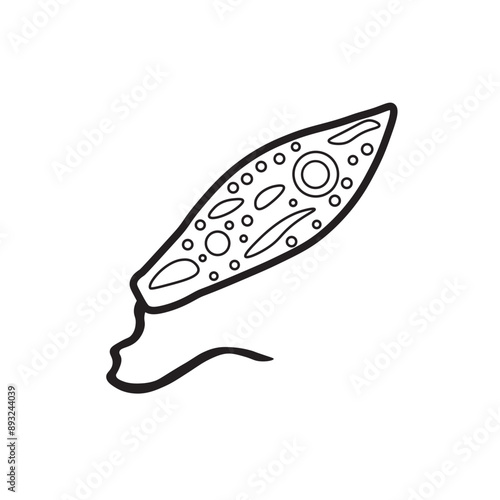 euglena line icon 