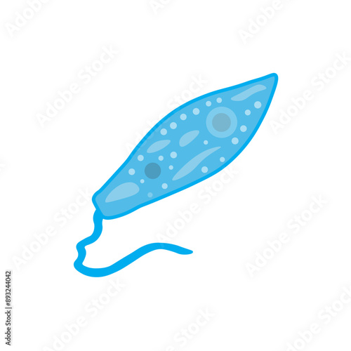 euglena