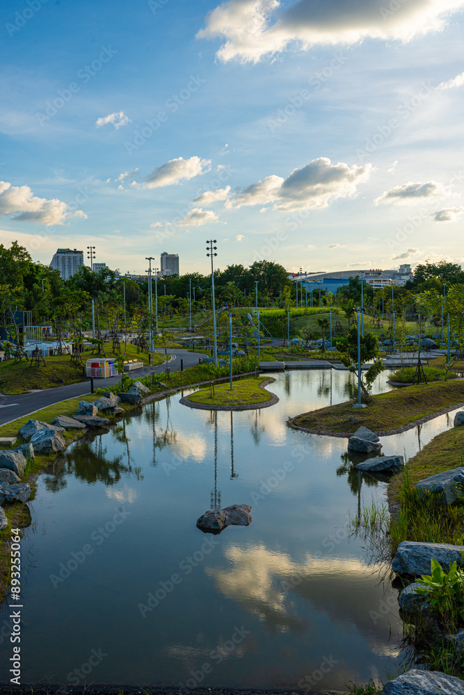 Fototapeta premium Green scene nature forest park with river public city park blue sky with cloud