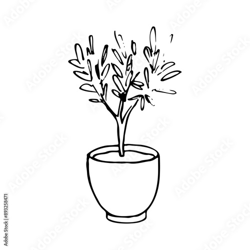 potted plant - hand drawn outline drawing