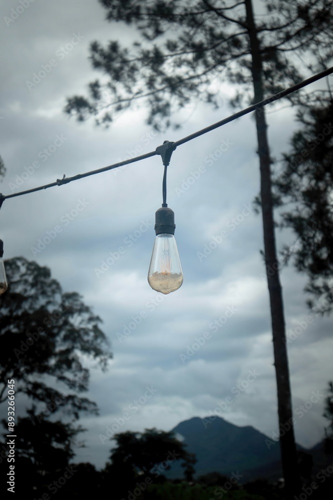 Low angle view of light bulbs hanging from a tree against a cloudy afternoon sky background Low angle view of light bulbs hanging from a tree against a cloudy afternoon sky background