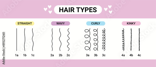 hair types beauty Classification. straight, wavy, curly, kinky. Scheme different types of hair. Curly girl method.