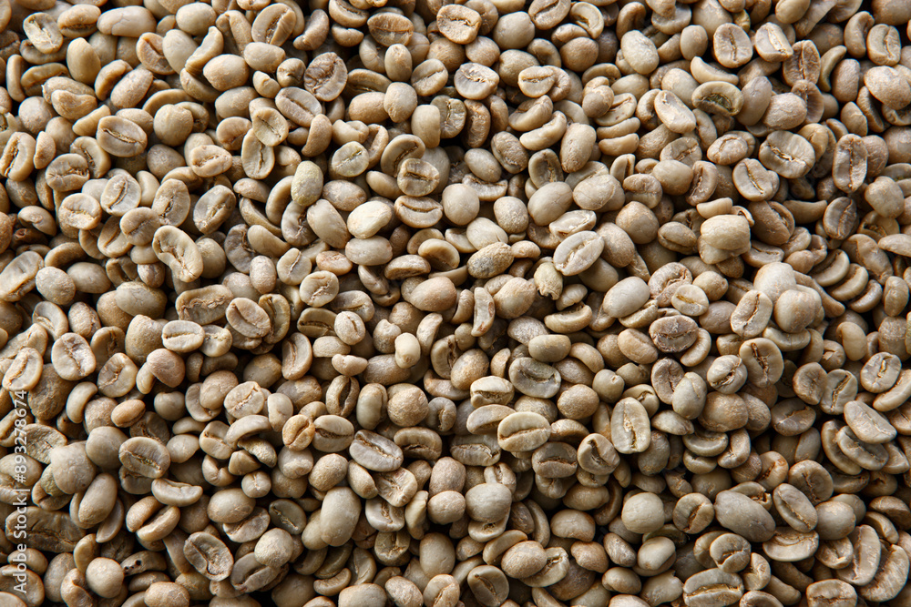 Fototapeta premium コーヒー豆 グァテマラ生豆