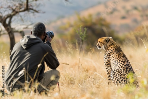 Man photographing cheetah. South Africa
