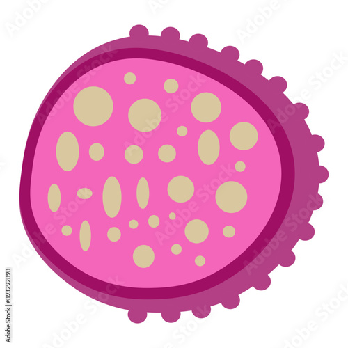 lysosome   photo