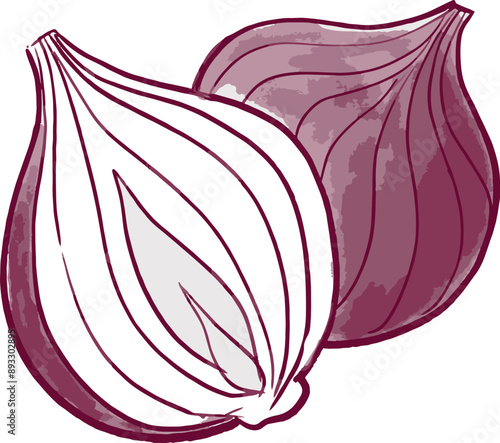 hand drawn illustration of Onions